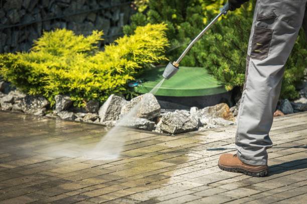 Best Sidewalk and Walkway Cleaning  in Buchanan, MI
