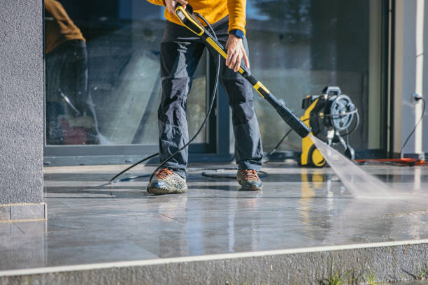 Best Roof Washing  in Buchanan, MI